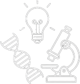 Innovation / Excellence